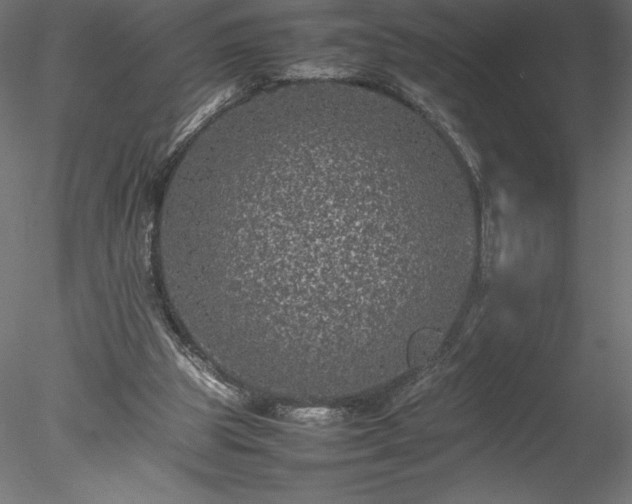 X0000078020153200611031505