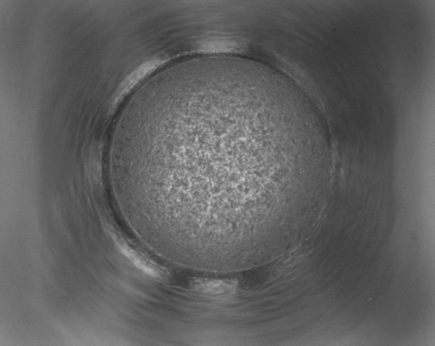 X0000078020155200611031505