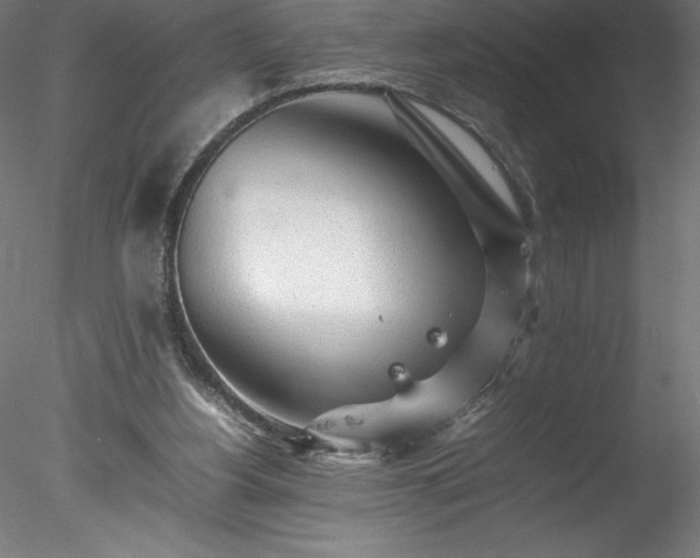 X0000078020156200611031505