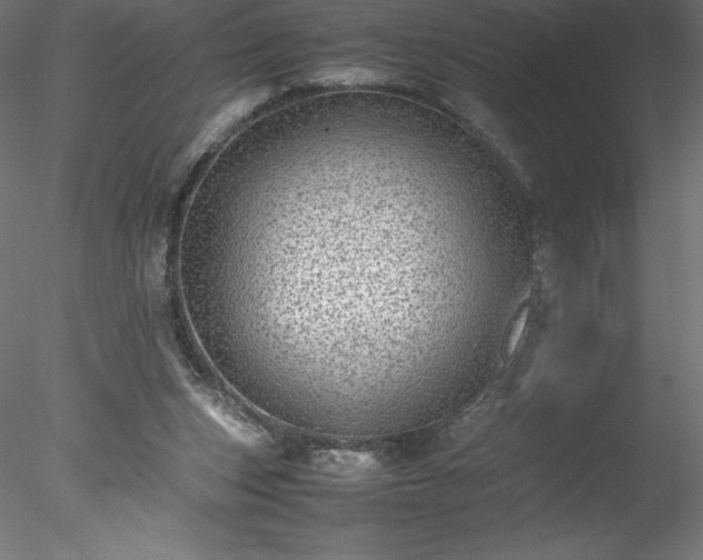 X0000078020159200611031505