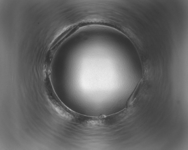 X0000078020160200611031505