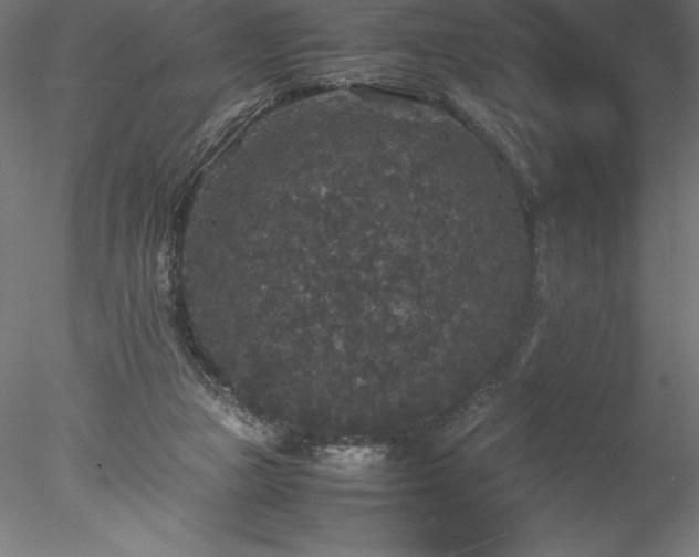 X0000078020161200611031505