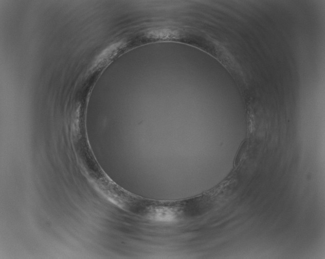 X0000078020163200611031505