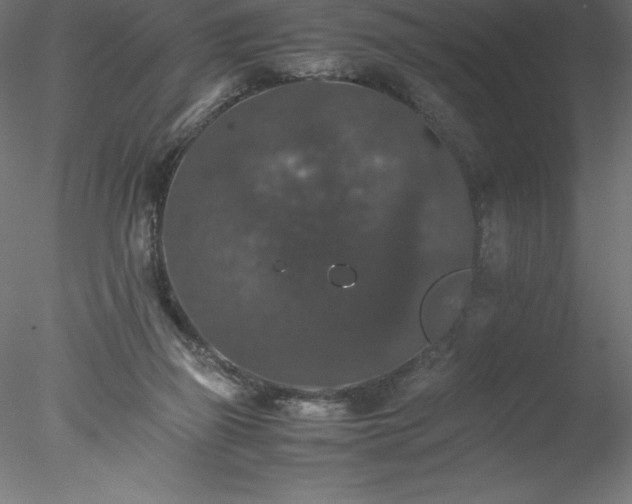 X0000078020165200611031505