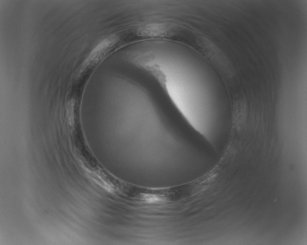 X0000078020167200611031505