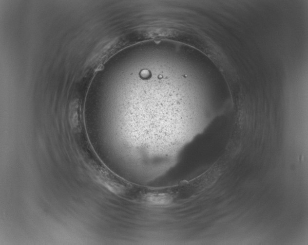 X0000078020169200611031505