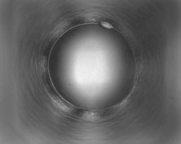 X0000078020174200611031505