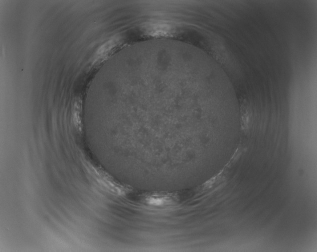 X0000078020175200611031505