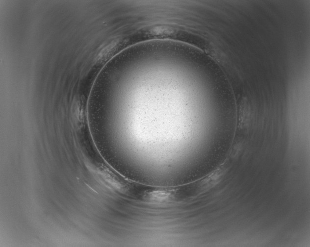 X0000078020176200611031505