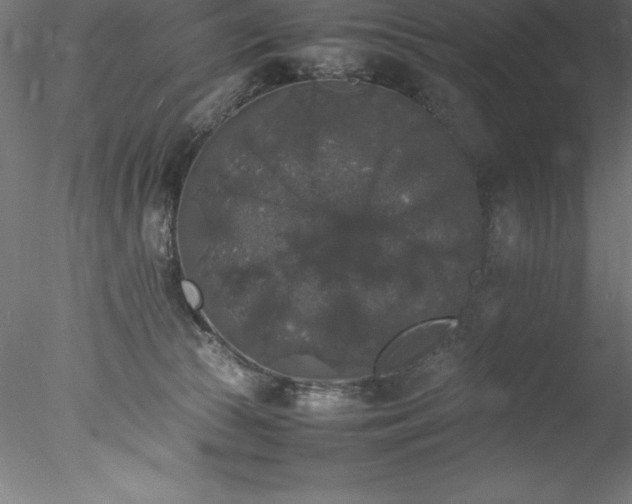 X0000078020177200611031505