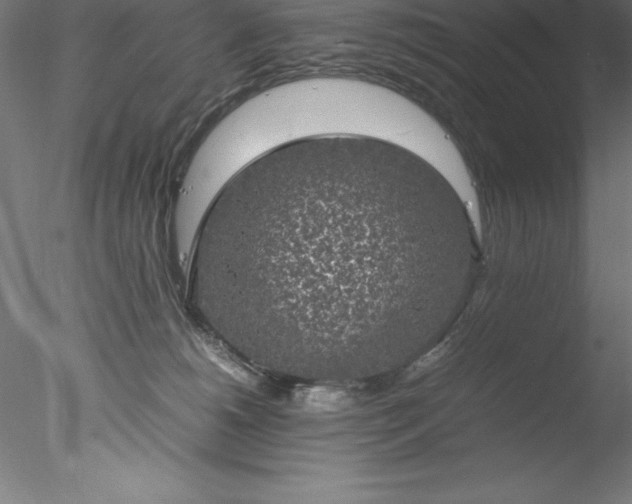 X0000078020180200611031505