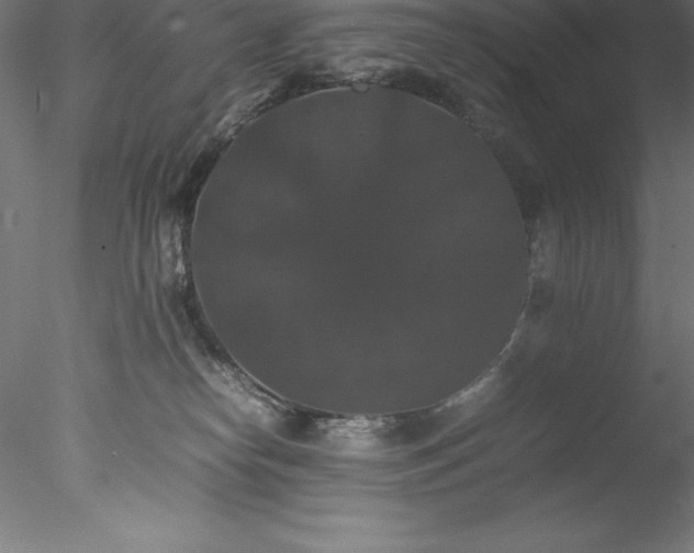 X0000078020182200611031505