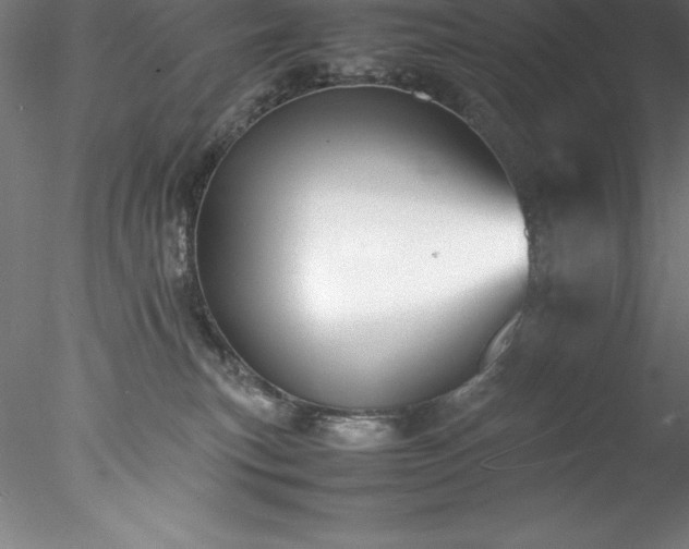 X0000078020183200611031505