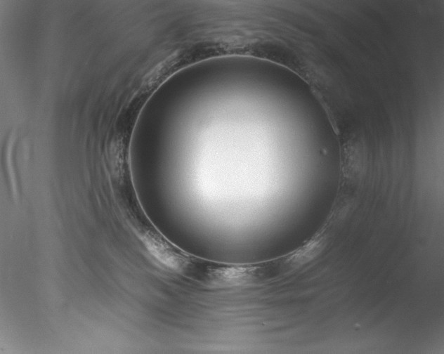 X0000078020184200611031505