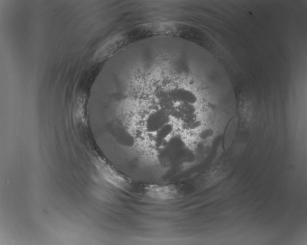 X0000078020185200611031505