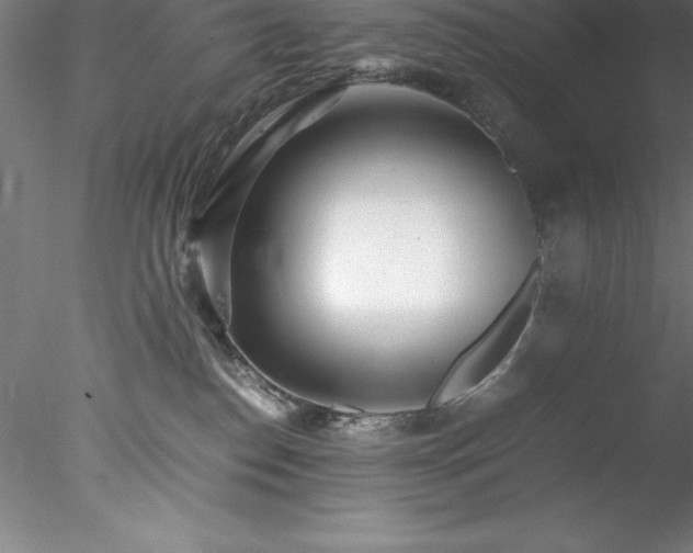 X0000078020186200611031505