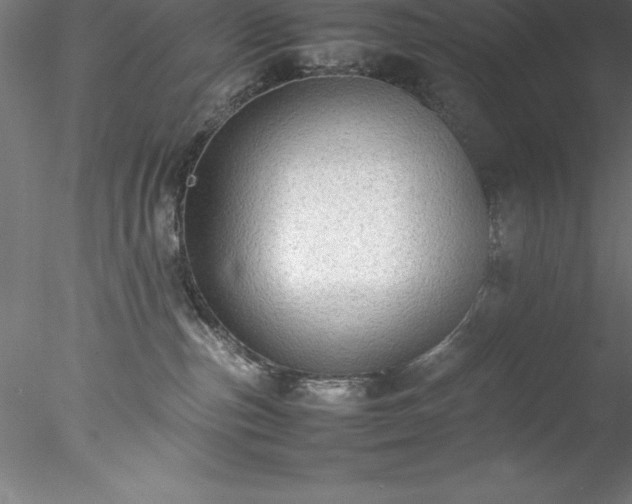 X0000078020187200611031505