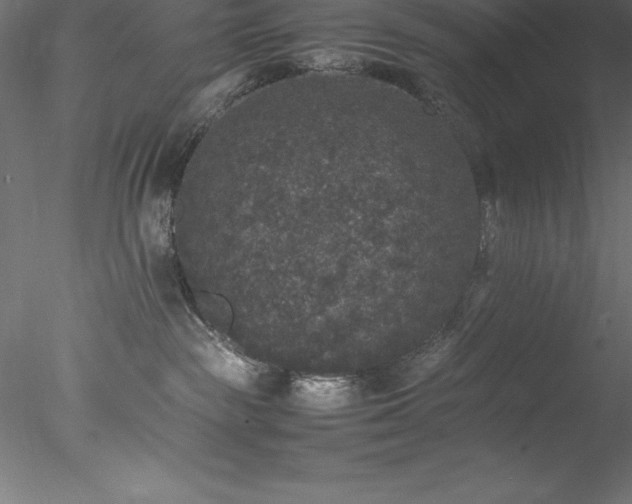 X0000078020189200611031505