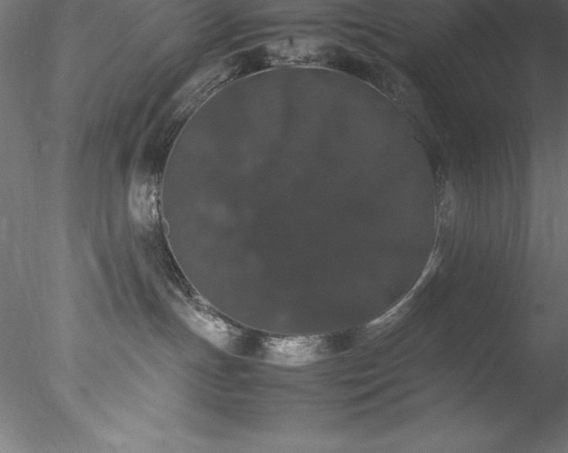 X0000078020191200611031505