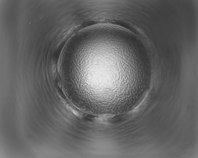 X0000078020192200611031505