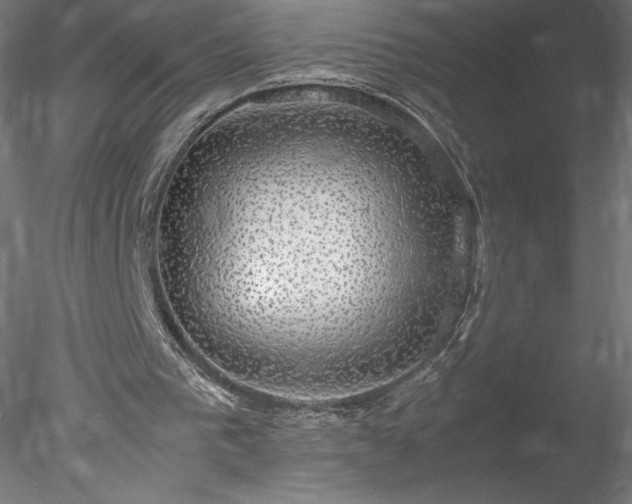 X0000078020193200611031505