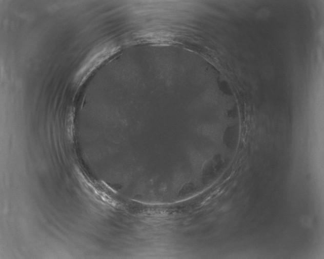 X0000078020194200611031505