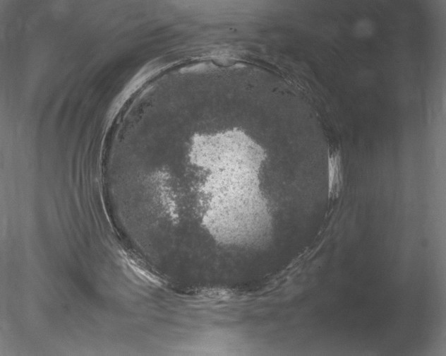 X0000078020195200611031505