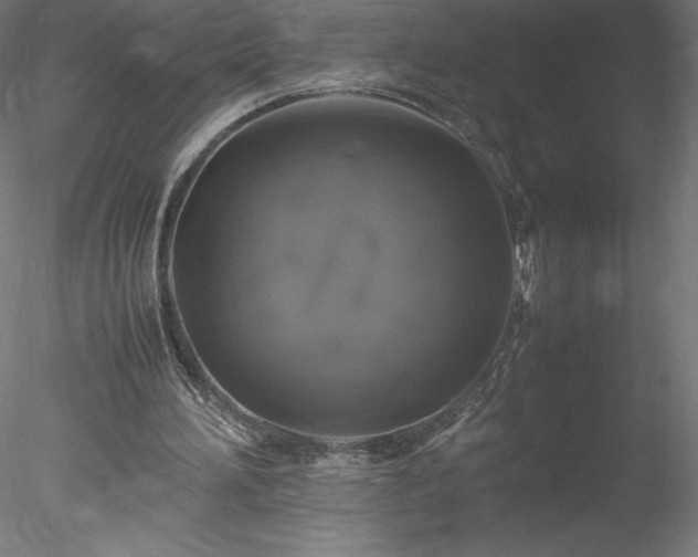 X0000078020196200611031505