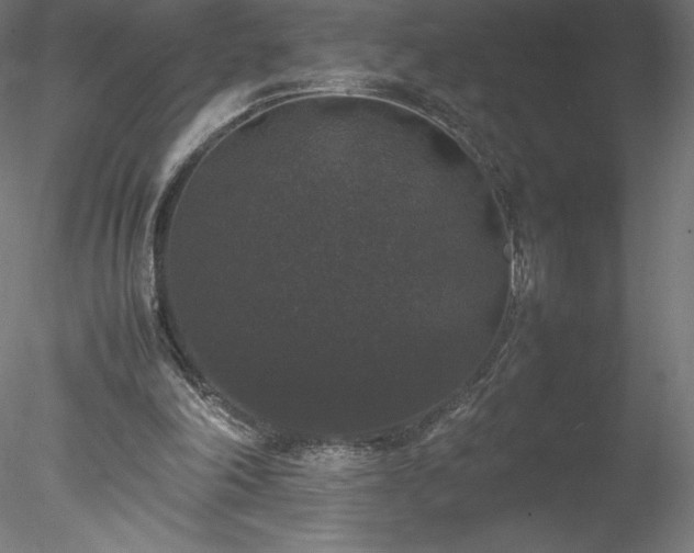 X0000078020198200611031505