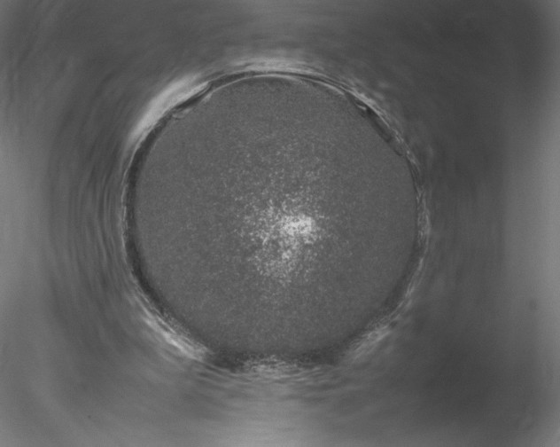 X0000078020199200611031505