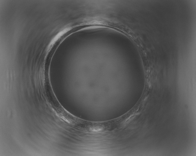 X0000078020200200611031505