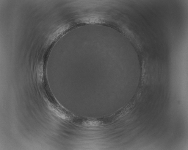 X0000078020202200611031505