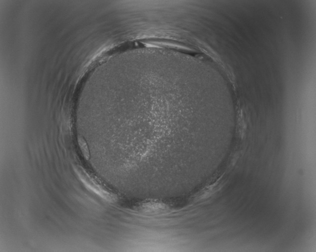 X0000078020203200611031505