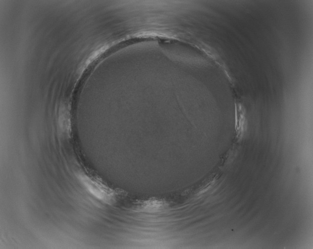 X0000078020204200611031504