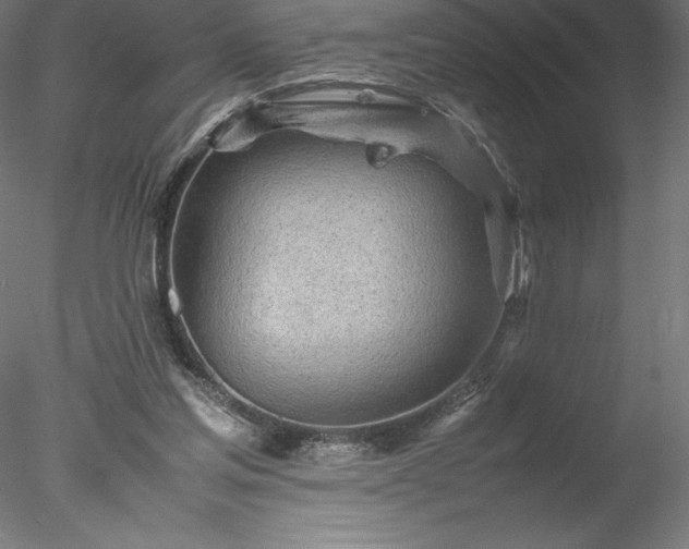 X0000078020205200611031504