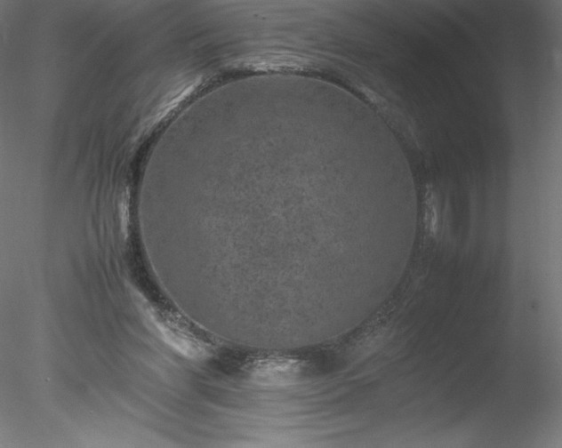 X0000078020206200611031504