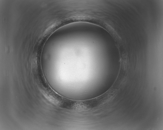 X0000078020207200611031504