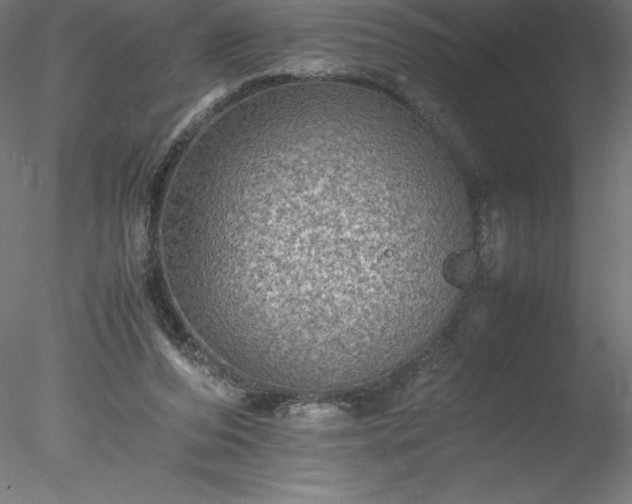 X0000078020208200611031504