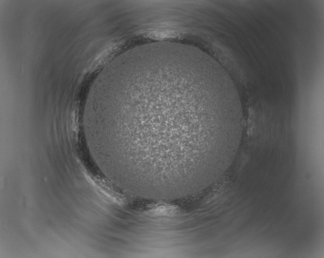 X0000078020210200611031504