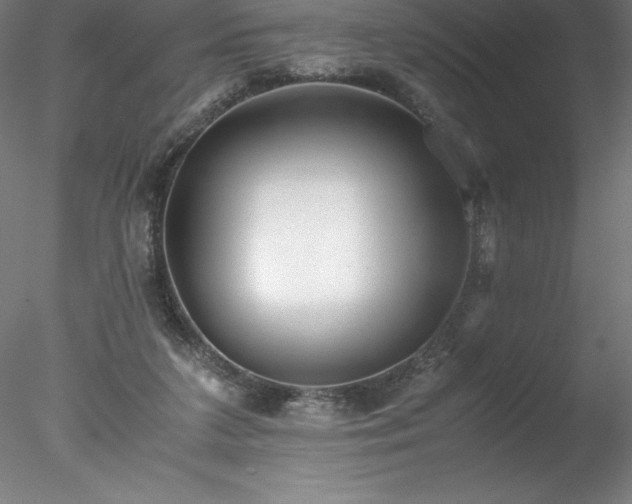 X0000078020211200611031504