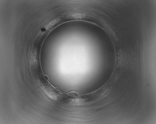 X0000078020212200611031504