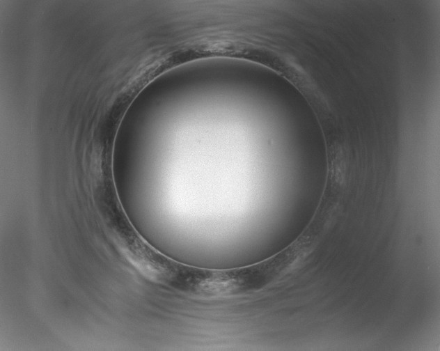 X0000078020213200611031504