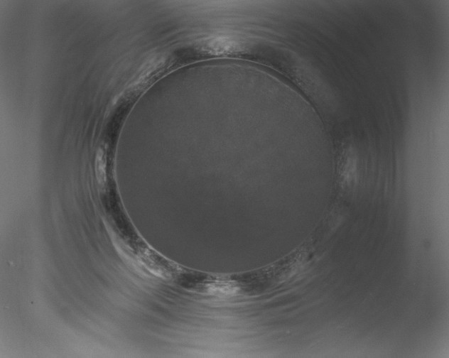 X0000078020214200611031504