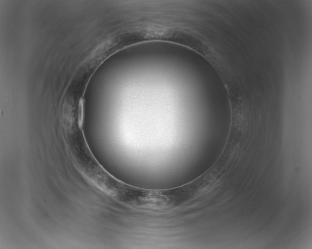 X0000078020215200611031504