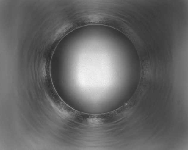 X0000078020216200611031504