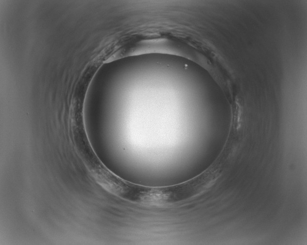 X0000078020217200611031504