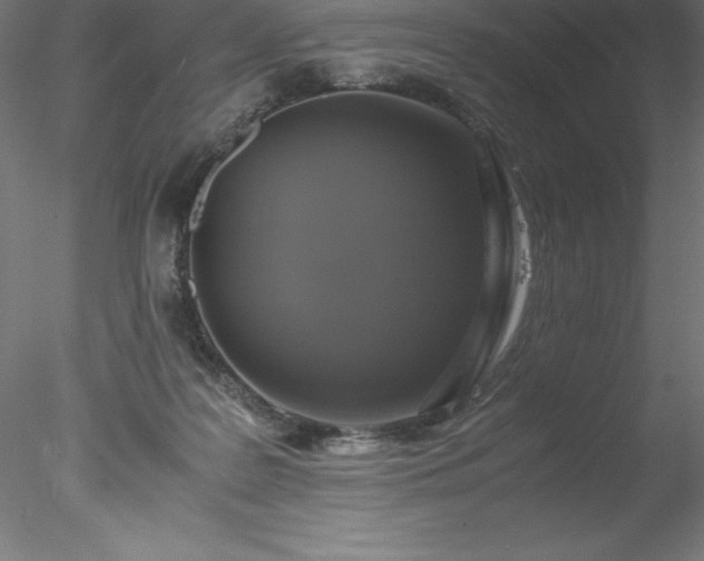 X0000078020219200611031504