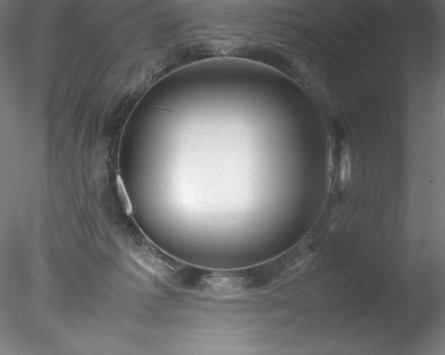 X0000078020221200611031504