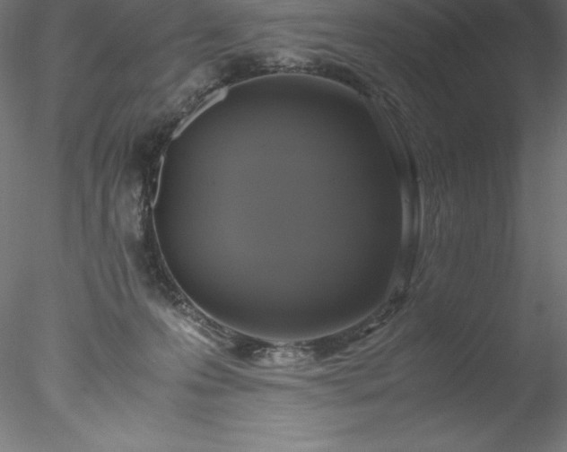 X0000078020223200611031504