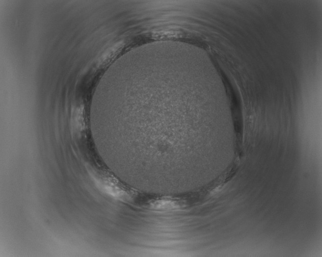 X0000078020224200611031504